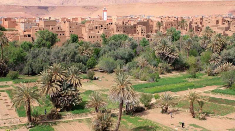 oasis Maroc Morocco