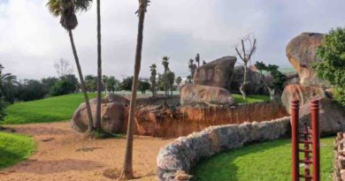 Ouverture du zoo de Aïn Sebaâ après des années de travaux