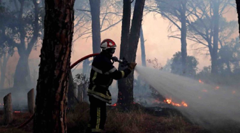 Maroc pompier feu incendie forêt