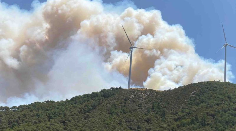 Maroc Ksar Sghir feux de forêt incendies