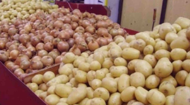 Maroc Afrique pommes de terre oignons exportation importation