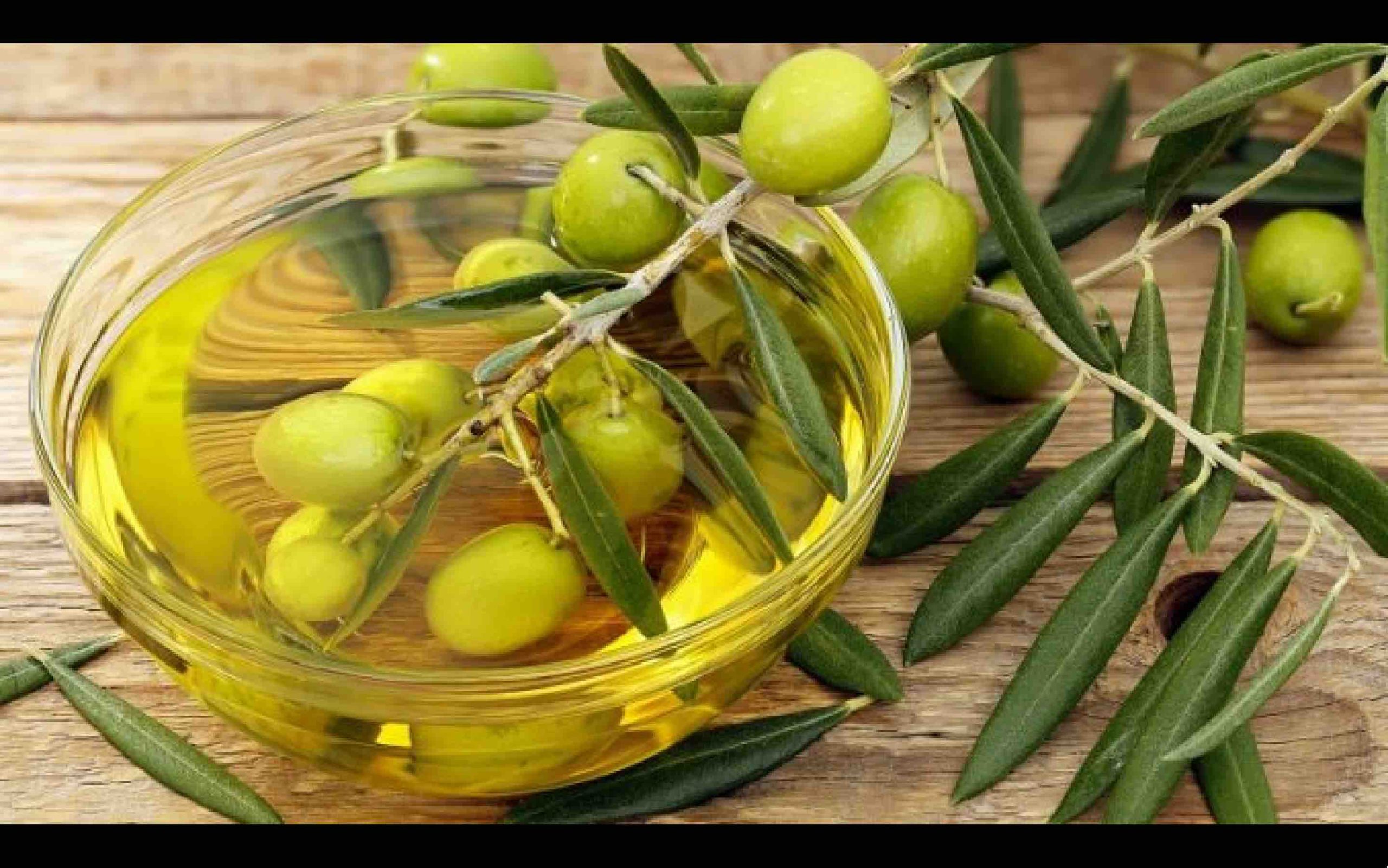 Maroc olives huile olive