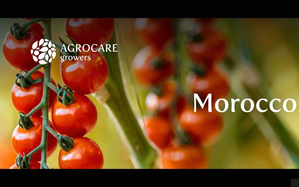 Agro Care Maroc Morocco