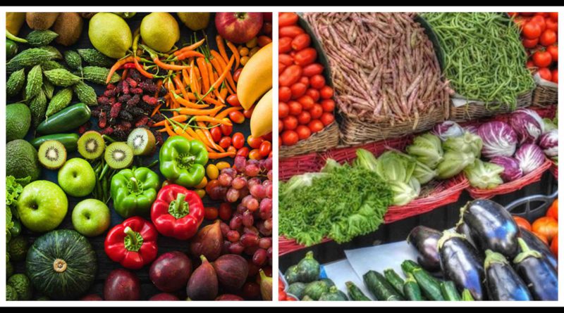horticulture Maroc fruits légumes
