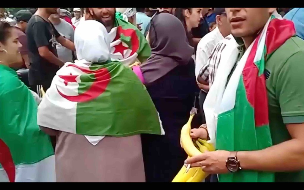 Algérie banane marocain animal bananes marocains animaux