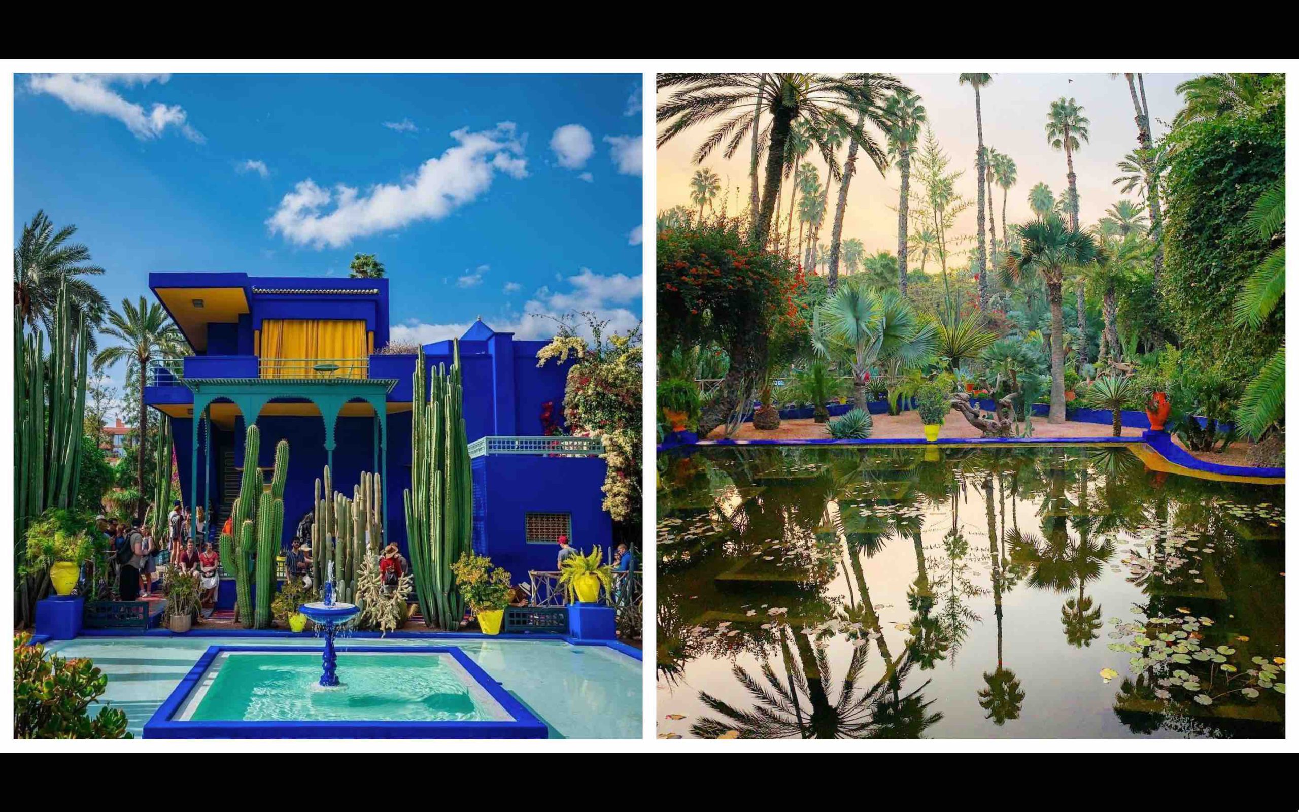 Maroc jardin Majorelle Marrakech