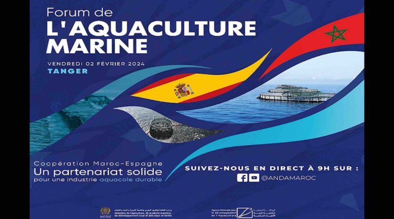 Maroc Tanger Forum de l'aquaculture marine