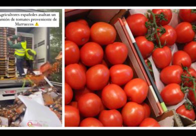 (Vidéo) Espagne : un camion de tomates marocaines saccagé