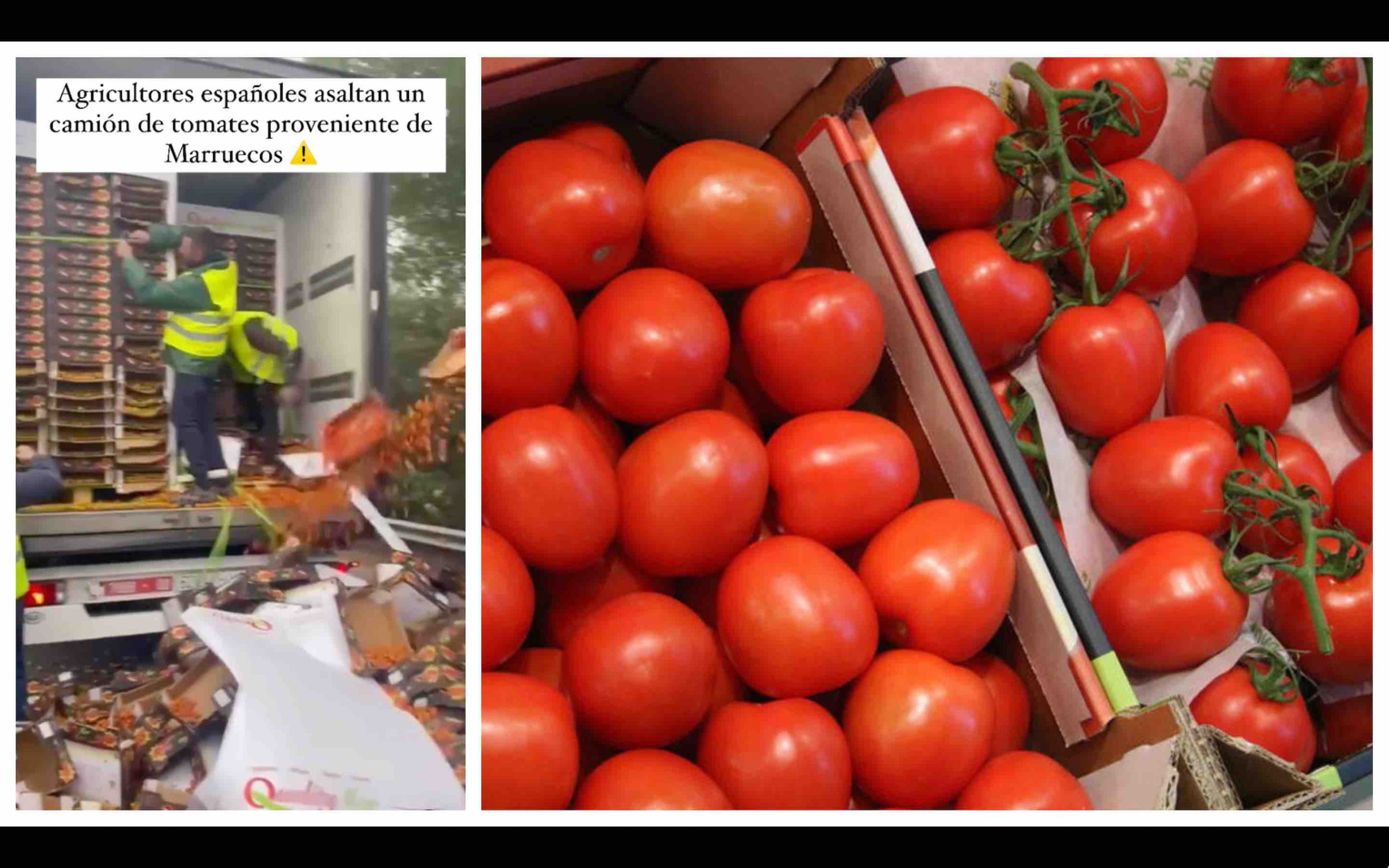 (Vidéo) Espagne : un camion de tomates marocaines saccagé