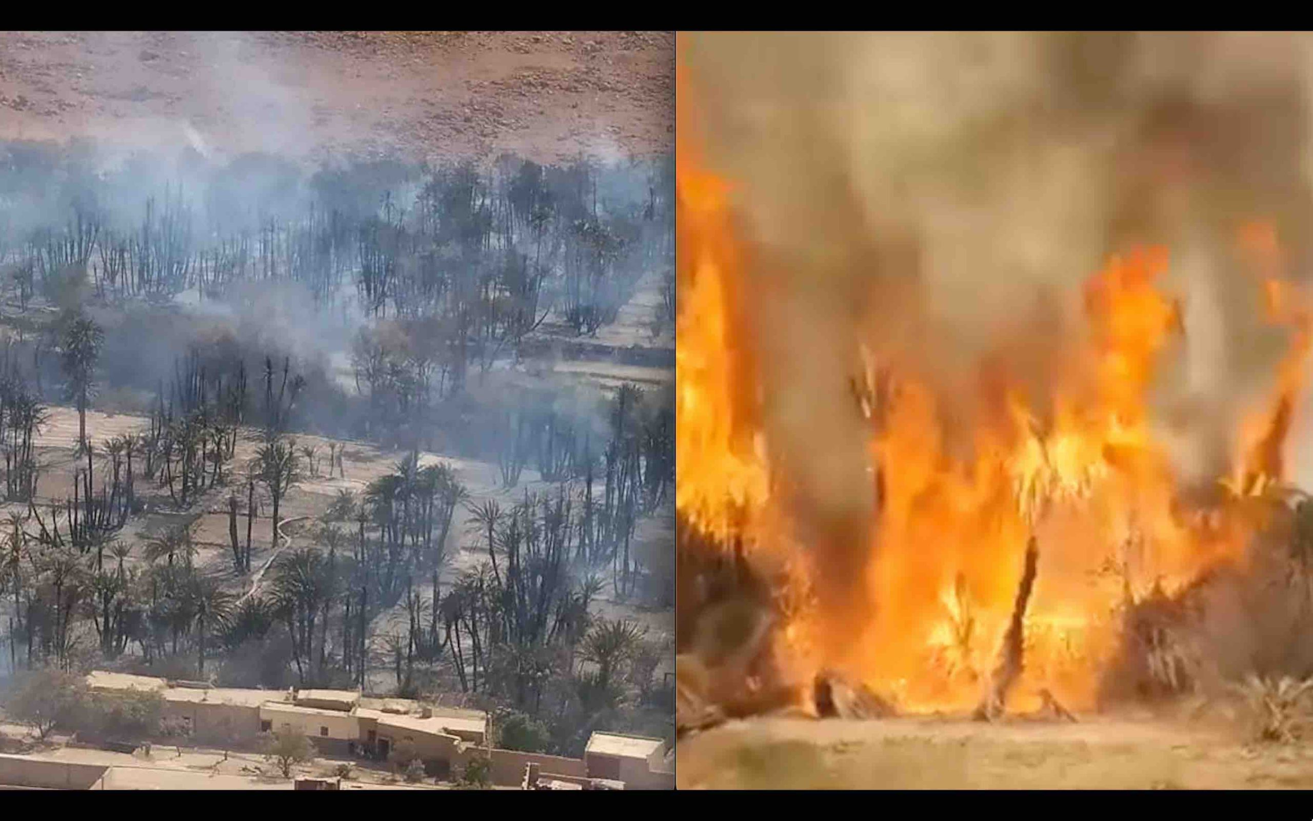 Maroc Errachidia incendie feu oasis Ouled Chaker palmiers