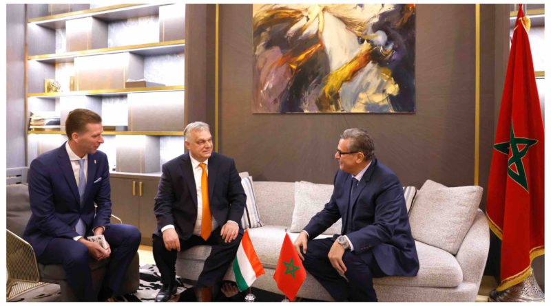 Aziz Akhannouch Viktor Orbán Maroc Hongrie Morocco Hungary