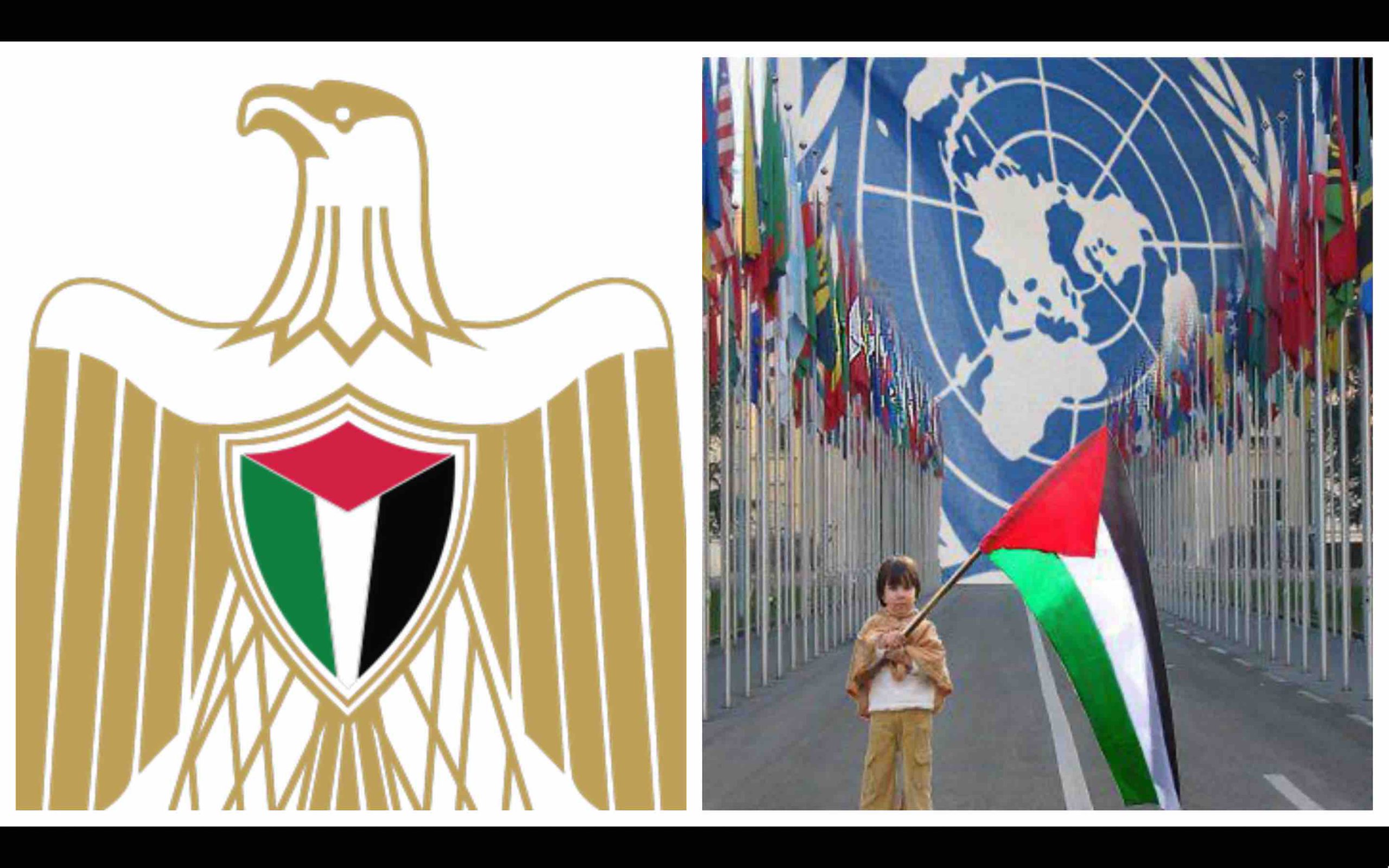 Palestine ONU Organisation des Nations unies