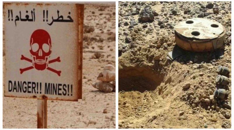 déminage mines Sahara marocain Maroc