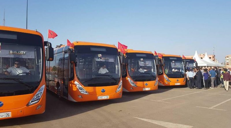 Bus autobus Marrakech Maroc