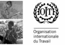 Maroc Marrakech Organisation internationale du Travail enfants